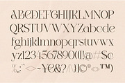 TBJ Rose Angel | Display Serif, a Serif Font by Taboja Studio (Thumbnail 11 of 11)