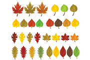 Fall Leaves Clipart, an Illustration by SugarPickle Clip Art (Thumbnail 3 of 3)