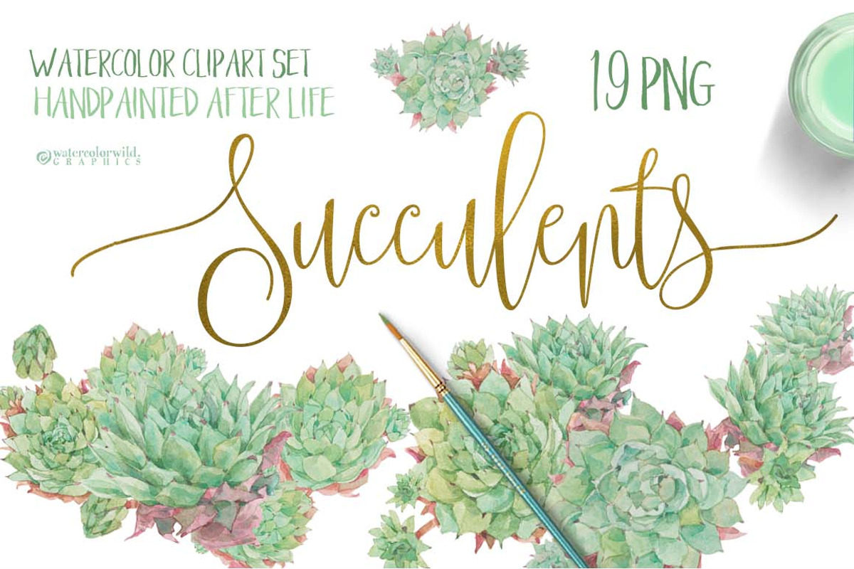 Succulents-single species package, a Work Illustration by watercolorwild.graphics (Photo 1 of 8)