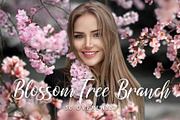 Blossom Tree Branch Overlays, an Object Graphic by DreamyOverlay (Thumbnail 1 of 6)
