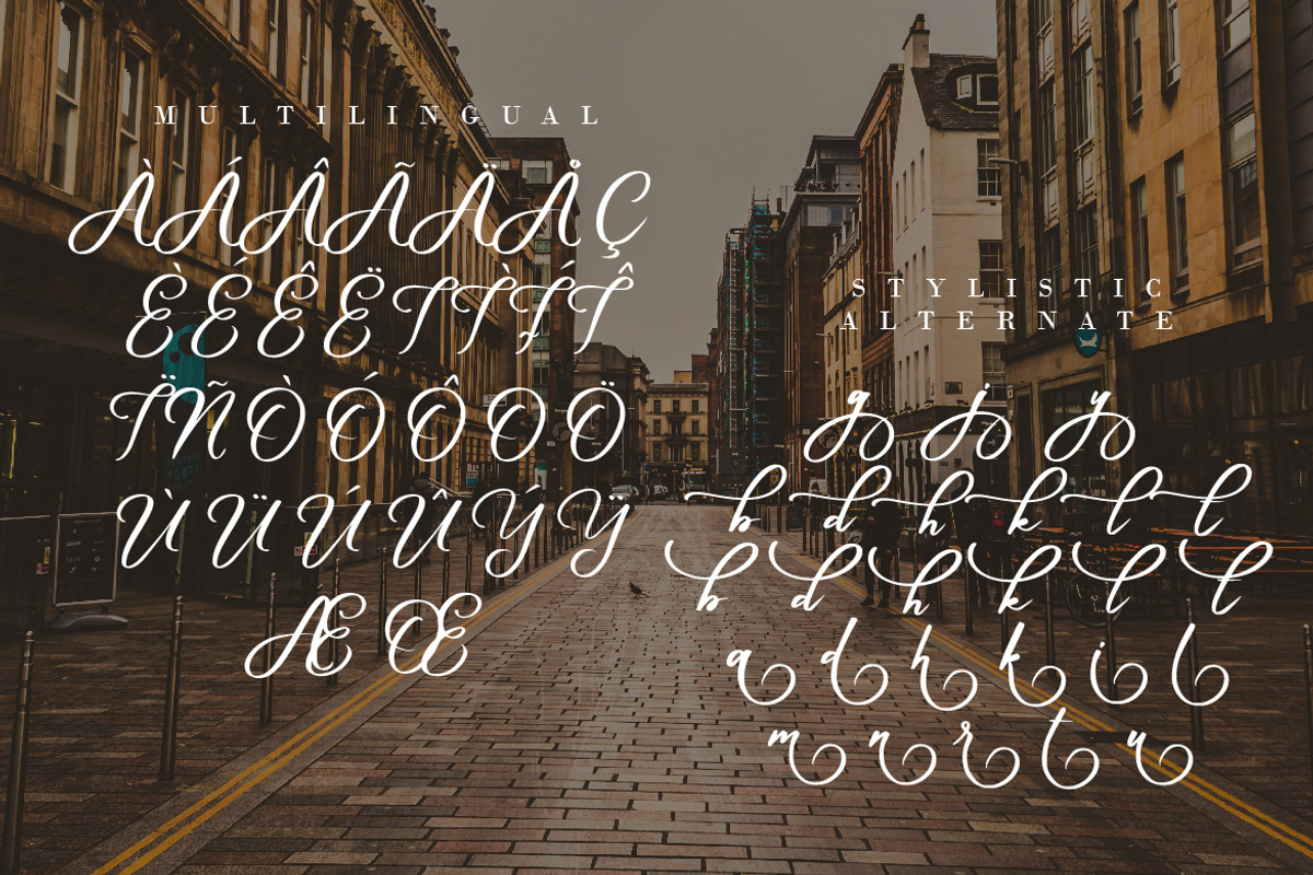 Wellington Script, a Script Font by Debut Studio (Photo 8 of 8)