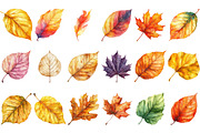 Autumn Fallen Leaves Clipart Bundle, an Illustration by Pixels.Craft (Thumbnail 3 of 3)