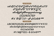 Anticha Atelier – Luxury Font Duo, a Handwritten Font by Nollev (Thumbnail 14 of 14)