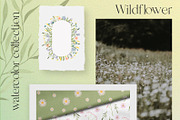 Wildflowers watercolor collection, an Illustration by viktoriiavk (Thumbnail 2 of 11)