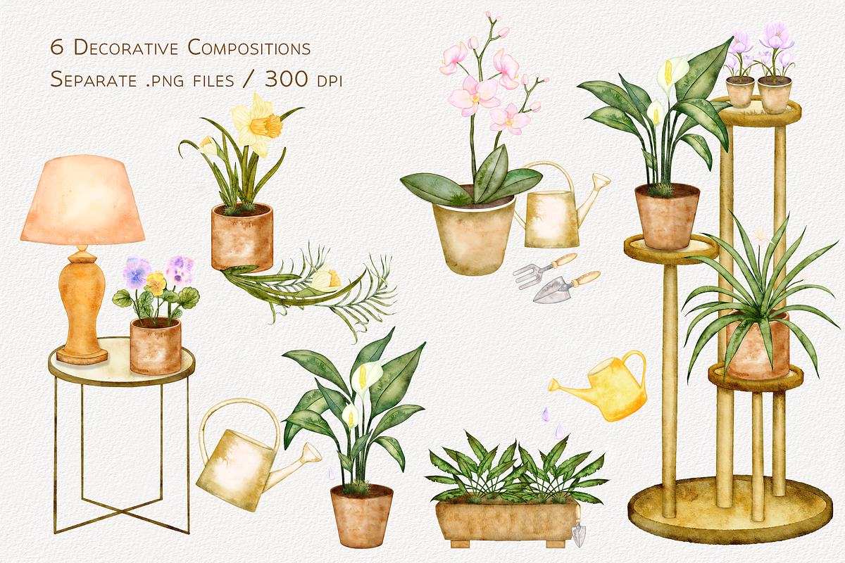 Houseplants Watercolor Collection, a Decorative Illustration by Aurella Art (Photo 6 of 15)