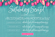 Saturday Script Brush Font, a Script Font by Nicky Laatz (Thumbnail 15 of 15)