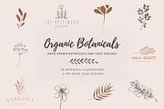 Organic Botanicals & Logo Designs, an Illustration by amber&ink (Thumbnail 1 of 17)