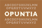Opuntia - Curvy Spur Display Type, a Serif Font by MEG BURK CHOI (Thumbnail 3 of 4)