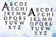 Bahor - Floral Spring Typeface, a Serif Font by Franzi draws (Thumbnail 2 of 5)