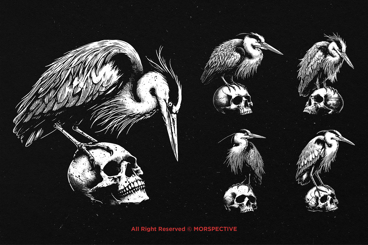10 Bundle Dark Art Heron Bird Skull, an Illustration by Morspective (Photo 3 of 7)
