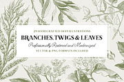 29 Branches, Twigs & Leaves (+Bonus), an Illustration by Century Library (Thumbnail 1 of 8)