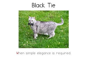 Blacktie