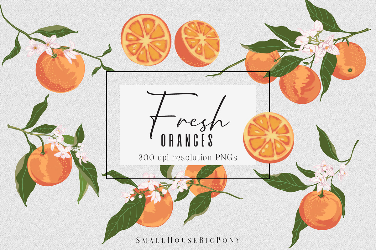 Fresh Oranges Clip art Set, a Graphic by SmallHouseBigPony (Photo 5 of 9)
