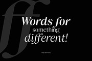 Fregio - Serif Family (10 Fonts), a Serif Font by Dora Typefoundry (Thumbnail 8 of 16)