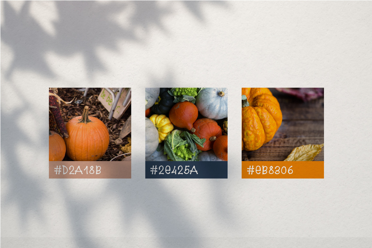 5$ Pumpkin Farm Font preview 6