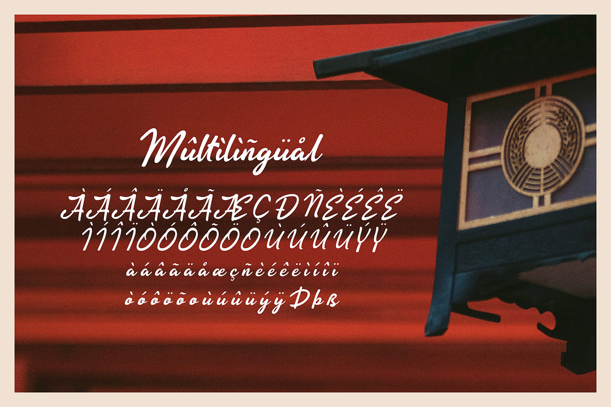 Akira - Zenbrush Script, a Script Font by ikiiko (Photo 8 of 8)