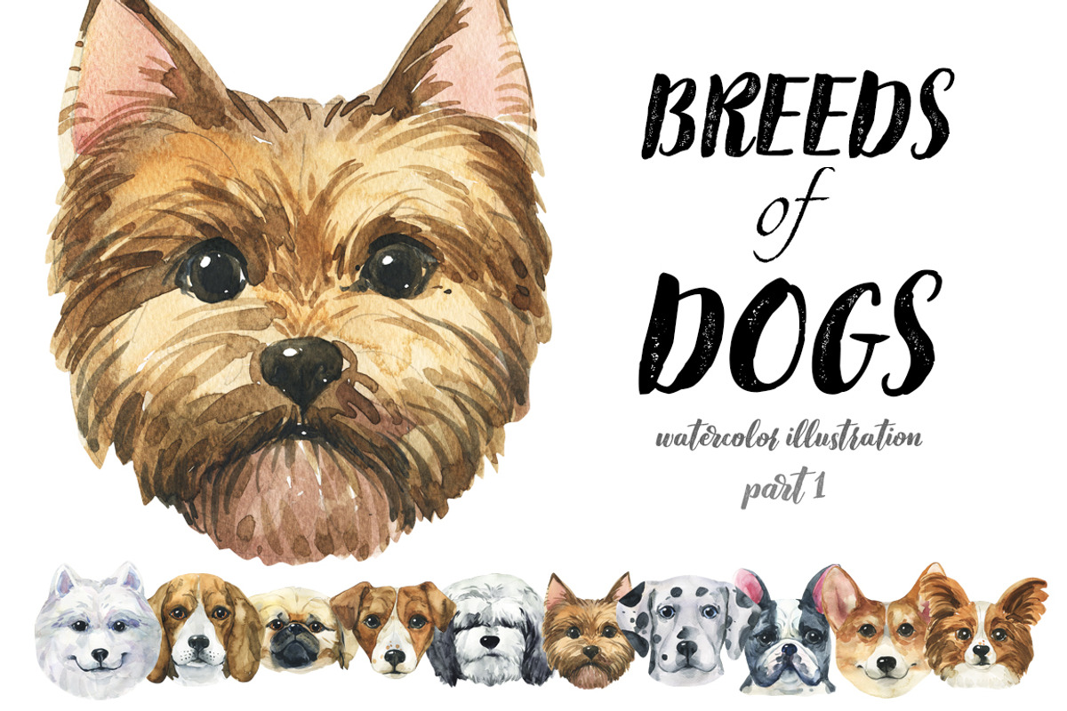 Breeds of dogs - watercolor. Part 1, an Animal Illustration by KatBranchArt (Photo 1 of 5)