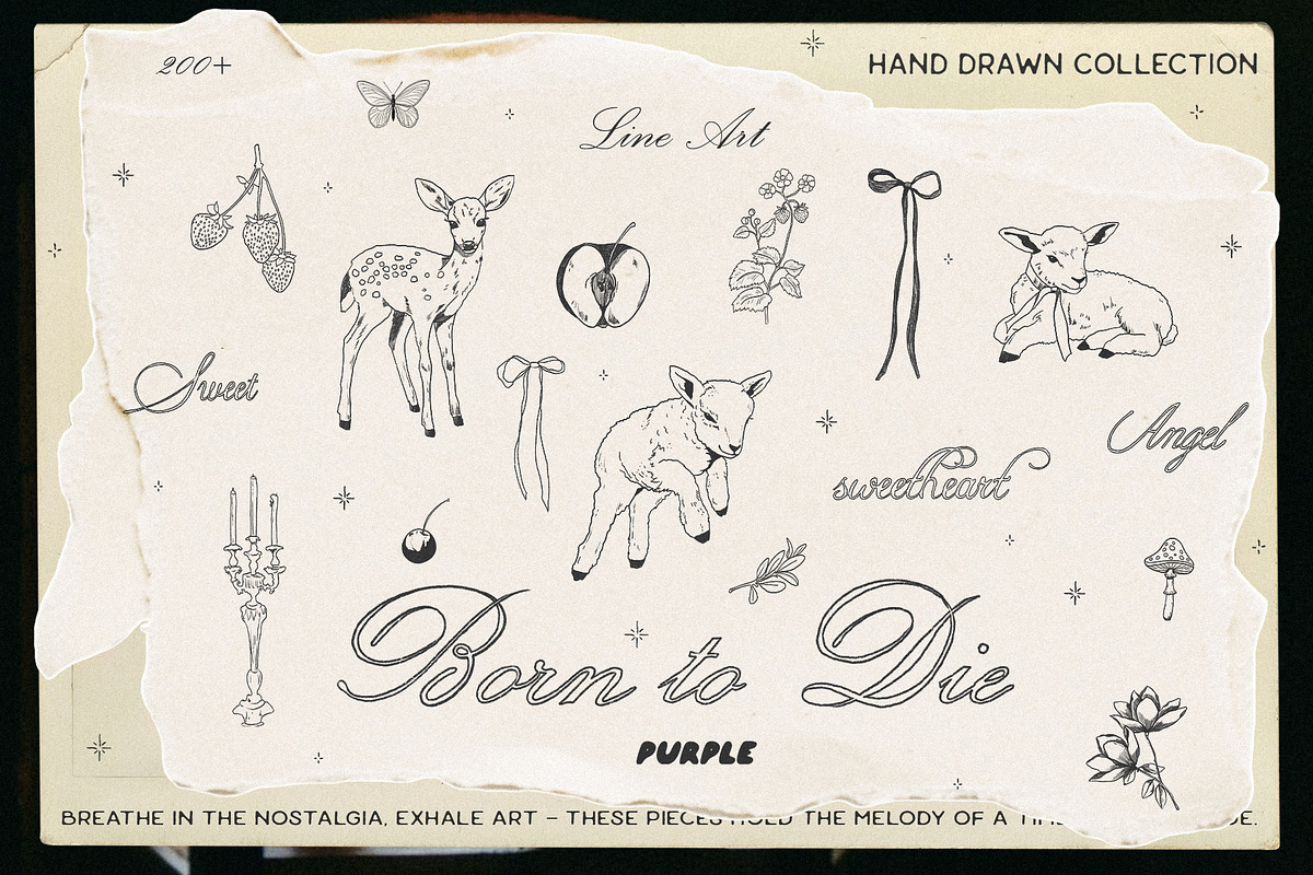 Born to die. Line art, an Object Graphic by Purple (Photo 1 of 11)
