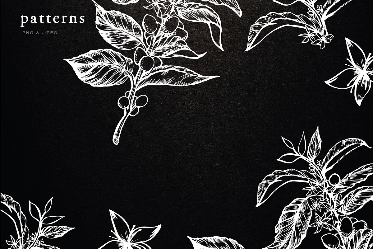 Coffee Illustration, an Illustration by Elysamunster (Photo 6 of 7)