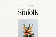 Agathias Stenchy Modern Serif Font, a Serif Font by UICreative (Thumbnail 5 of 9)