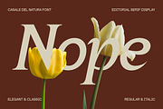 Casale Del Natura Font, a Serif Font by Marvadesign (Thumbnail 3 of 13)