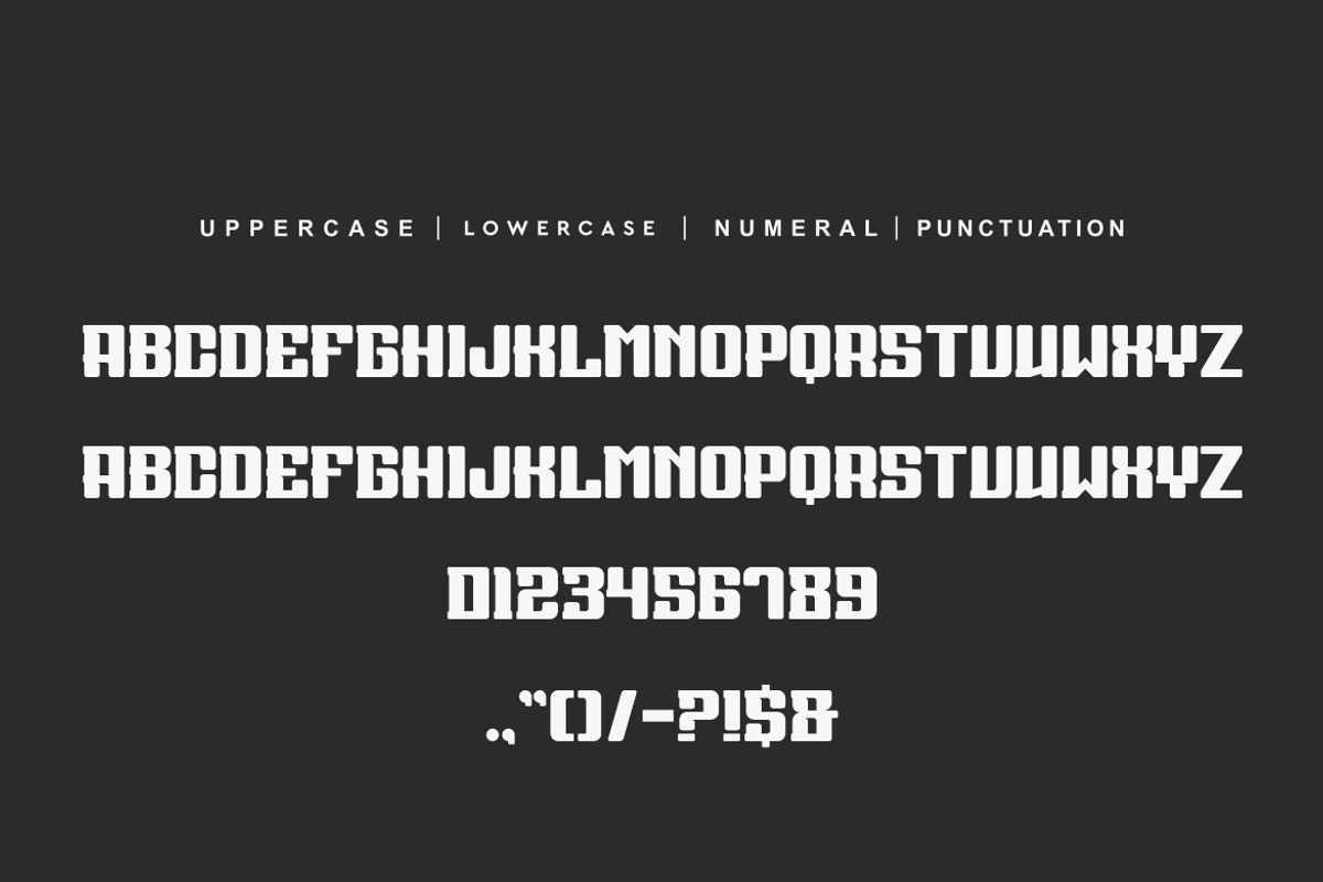 Sonex Groper, a Serif Font by alon kelakon (Photo 5 of 6)
