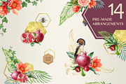 Oriental Botanical Watercolor Set, a Decorative Illustration by AnitaPol (Thumbnail 4 of 15)