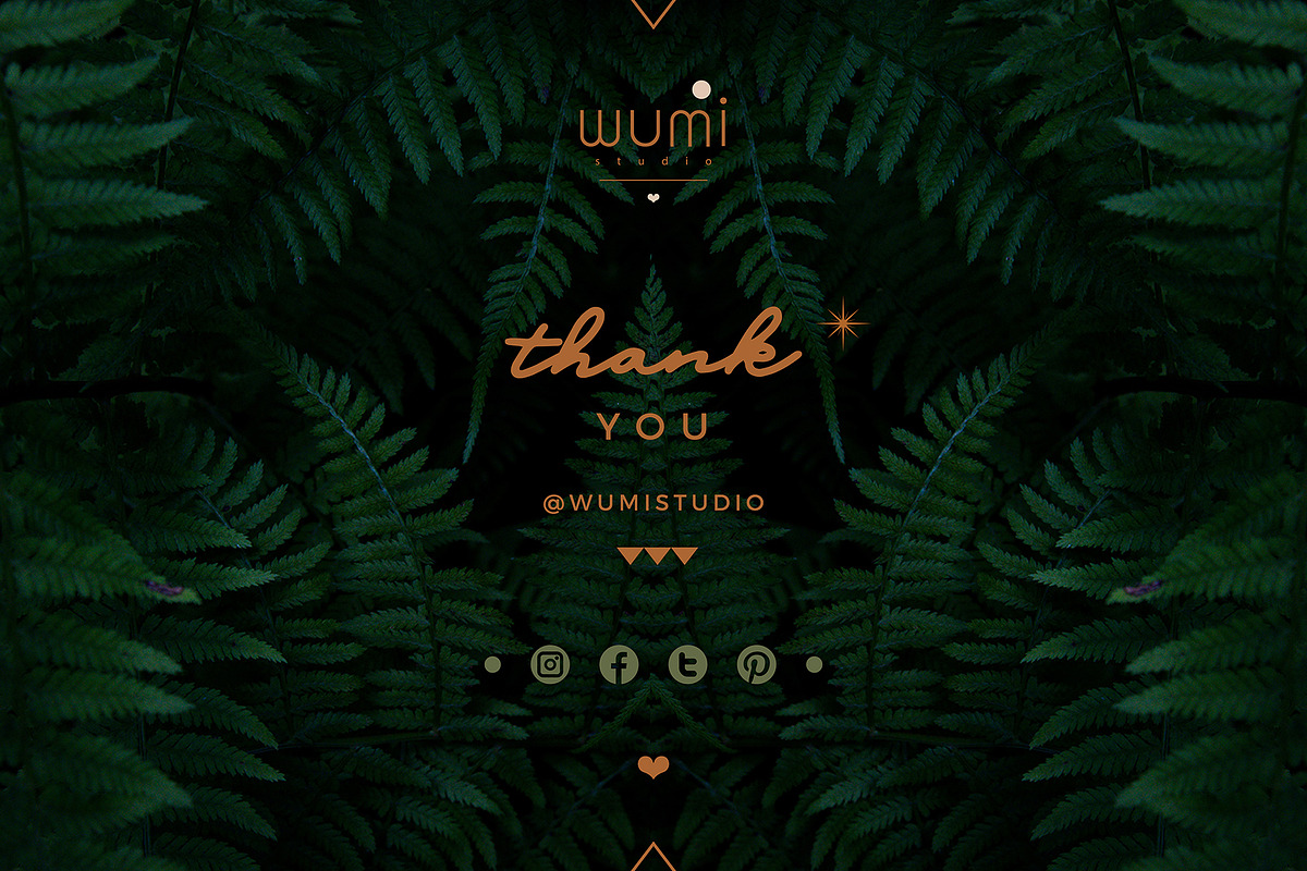 Sun & Moon - Logo & Totem, an Illustration by Wumi Studio (Photo 4 of 4)