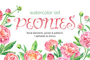 Watercolor peonies, an Illustration by ognivo (Thumbnail 1 of 5)