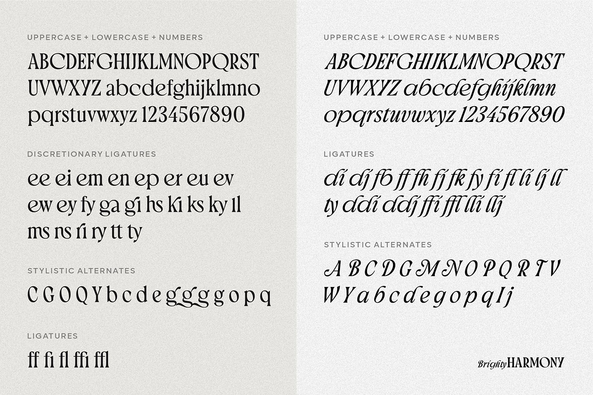 Brighty Harmony | Serif font family, a Font by Digitype Studio (Photo 15 of 15)