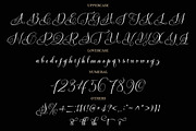 Vorgesla Script, a Script Font by TM Type (Thumbnail 10 of 10)