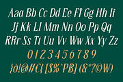 Bougene - Elegant Display Serif Font, a Serif Font by Sekyra Lab (Thumbnail 3 of 11)