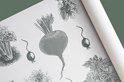 Vintage Bundle 2500+ Free Update, an Animal Illustration by Retro Machine (Thumbnail 139 of 170)