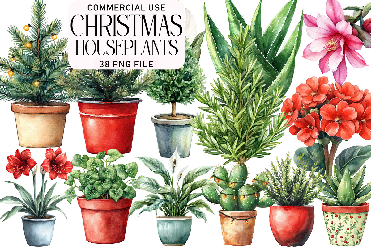 Christmas Houseplants Clipart Bundle, an Illustration by Daily.Designs (Photo 1 of 5)