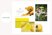 Flora Detail - Macro Photo Bundle, a Nature Photo by Stockify (Thumbnail 3 of 6)