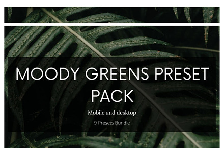 9 Lightroom Presets Pack Moody Green
