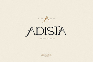 Monesa - Luxury Modern Serif Font