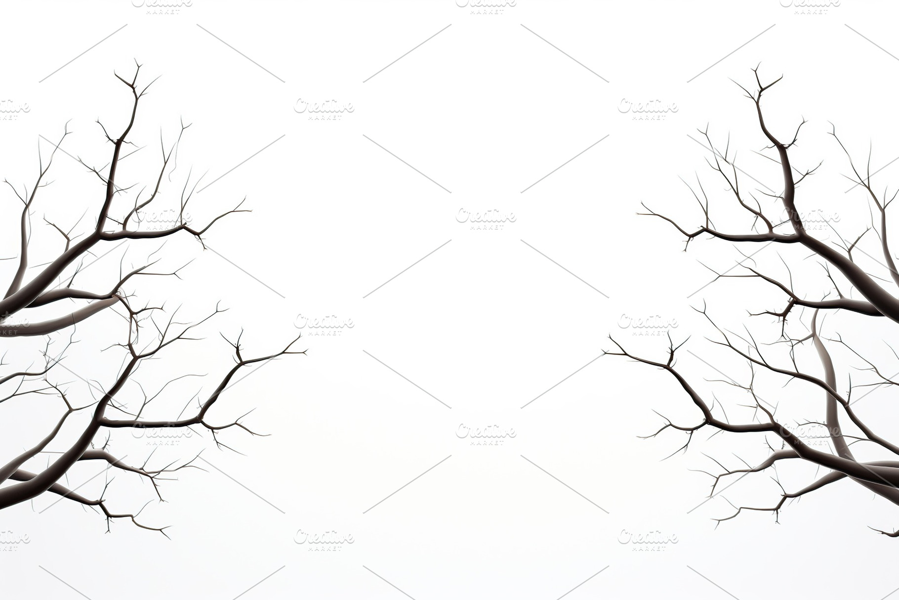 Tree branch on white background, a Nature Photo by AlyaAnd