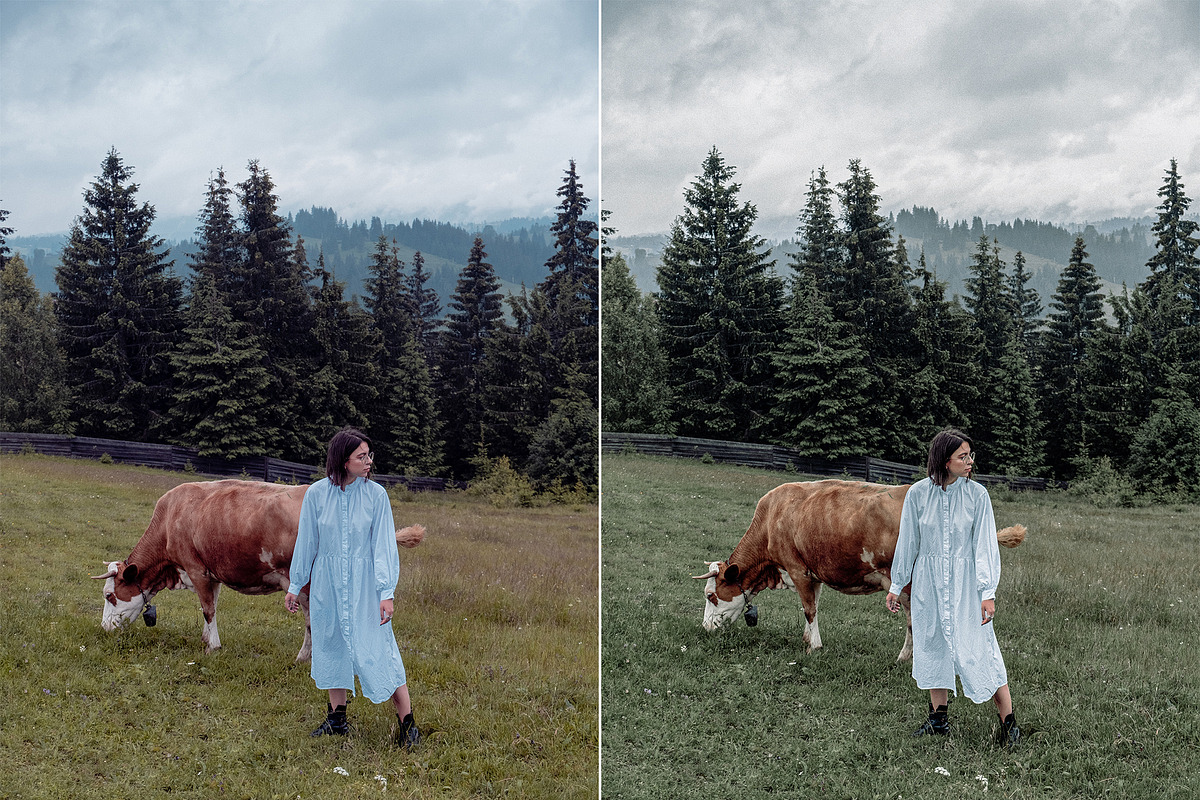 9 Nature Landscape Lightroom presets, a Preset Add-On by Presets by Yevhen (Photo 5 of 10)