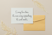 Sublimation | Script Font, a Handwritten Font by Scratchones (Thumbnail 2 of 9)