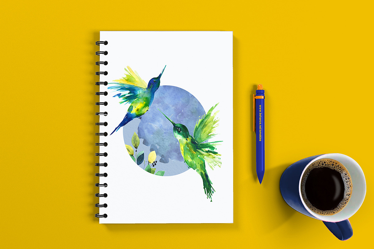 Hummingbirds. PNG.Watercolour, an Illustration by ElliaArt (Photo 9 of 10)