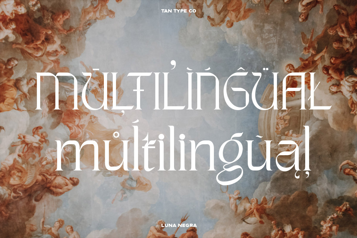 TAN - LUNA NEGRA, a Serif Font by TanType (Photo 13 of 16)