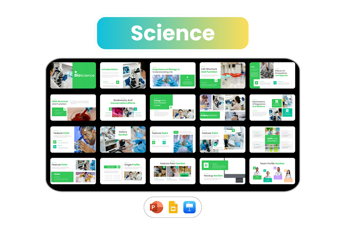 1400+ Presentation Slides Bundle, a Presentation Template by Hammad Arif (Photo 10 of 17)
