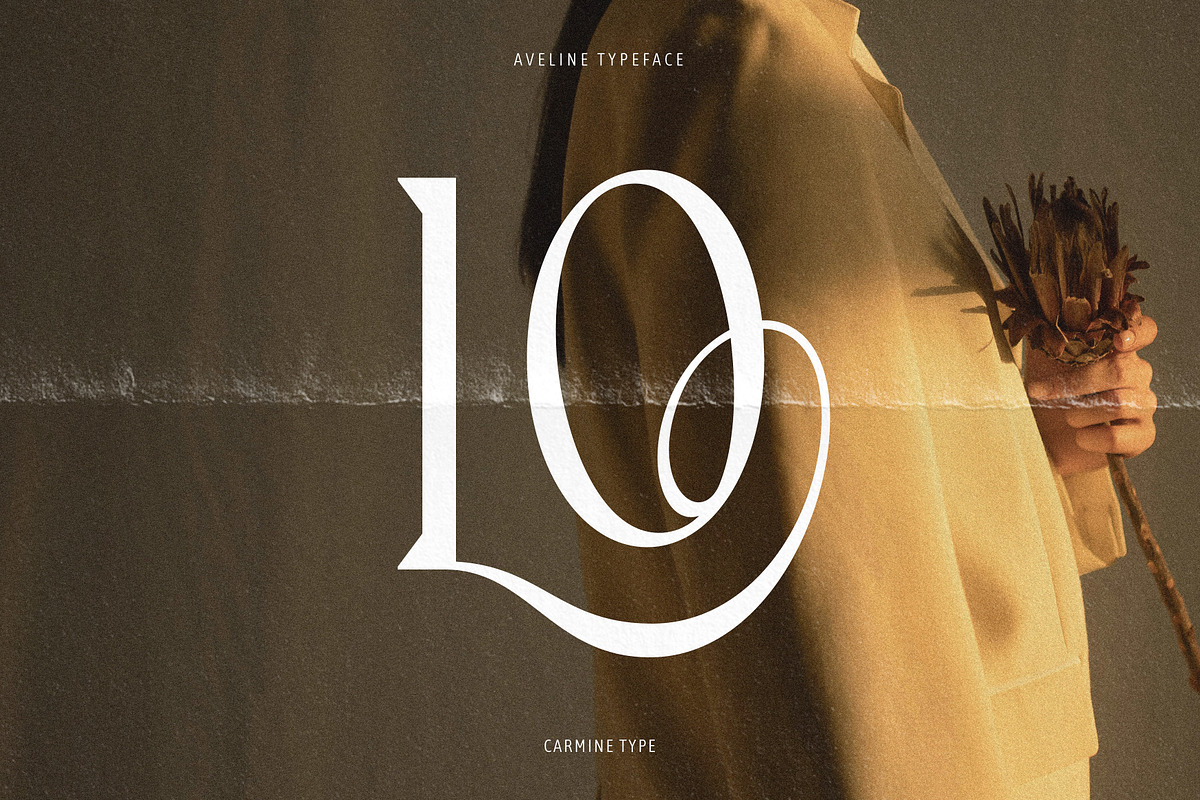 Aveline, Soft Serif with Ligatures, a Serif Font by CarmineType (Photo 13 of 28)