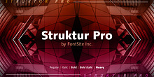 Struktur Pro