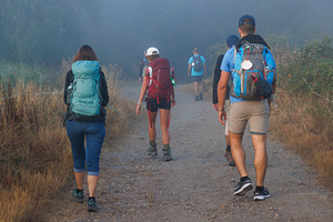 Pilgrims Walking on Foggy Dirt Road, Camino Primitivo, Spain