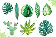 Watercolor tropical leaves set#2., a Decorative Illustration by AlexGreenArt (Thumbnail 3 of 7)