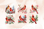 Red Cardinal Clipart,, an Animal Illustration by Anca Digital Vibe (Thumbnail 4 of 6)