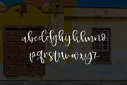 Shelbyville, a Script Font by OnTheSpotStudio (Thumbnail 3 of 6)