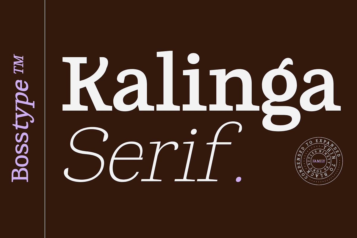 Kalinga | 91 Style Font, a Serif Font by Bosstype Studio (Photo 1 of 15)